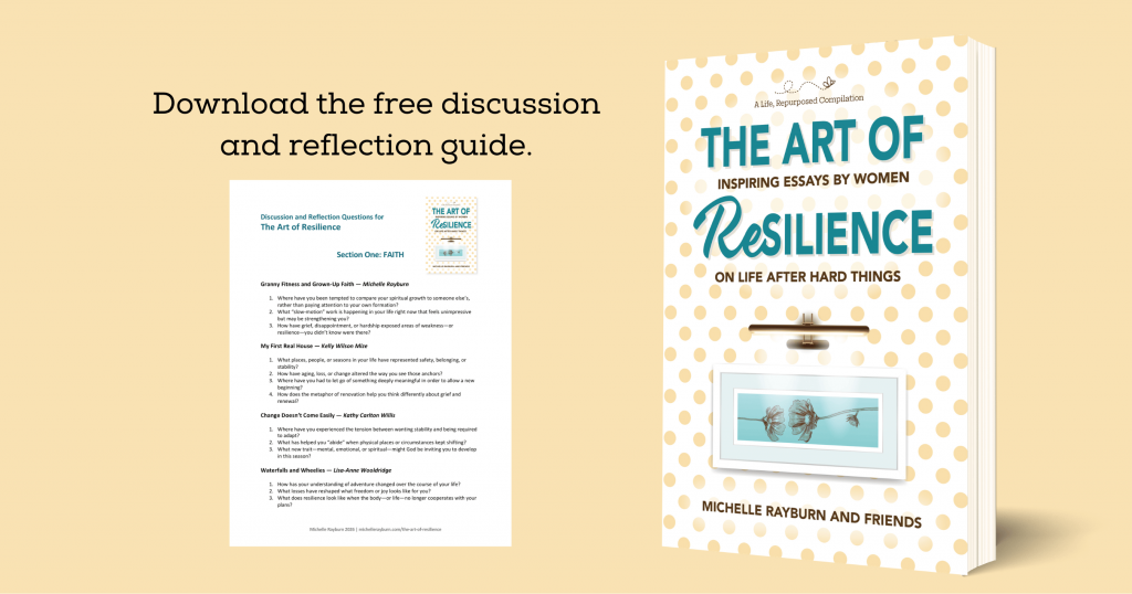 Image with book cover and sample discussion guide